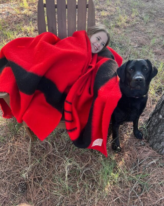 And this is Whinnie! She’s sister to Duke, and another stunning #blacklab ! #lostcreekremedy #lcklabs #englishlab #labradorretriever