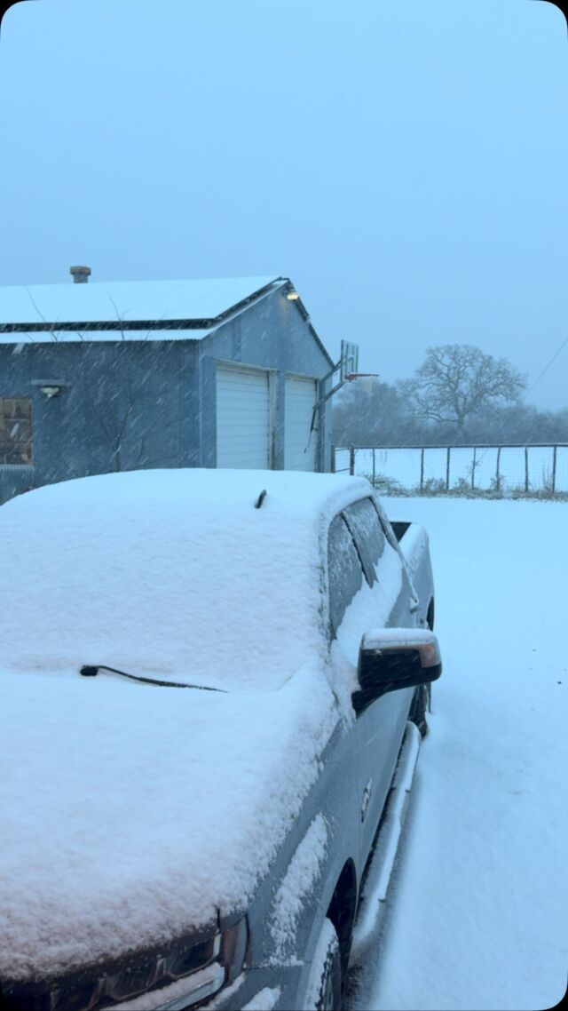 Good morning, from the farm! #snowday #farmlife #lostcreekfarm #lostcteekdoodles