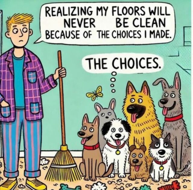 Except most of ours are Doodles! #doglife #farmlife